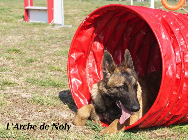 Gamin de l'Arche de Noly